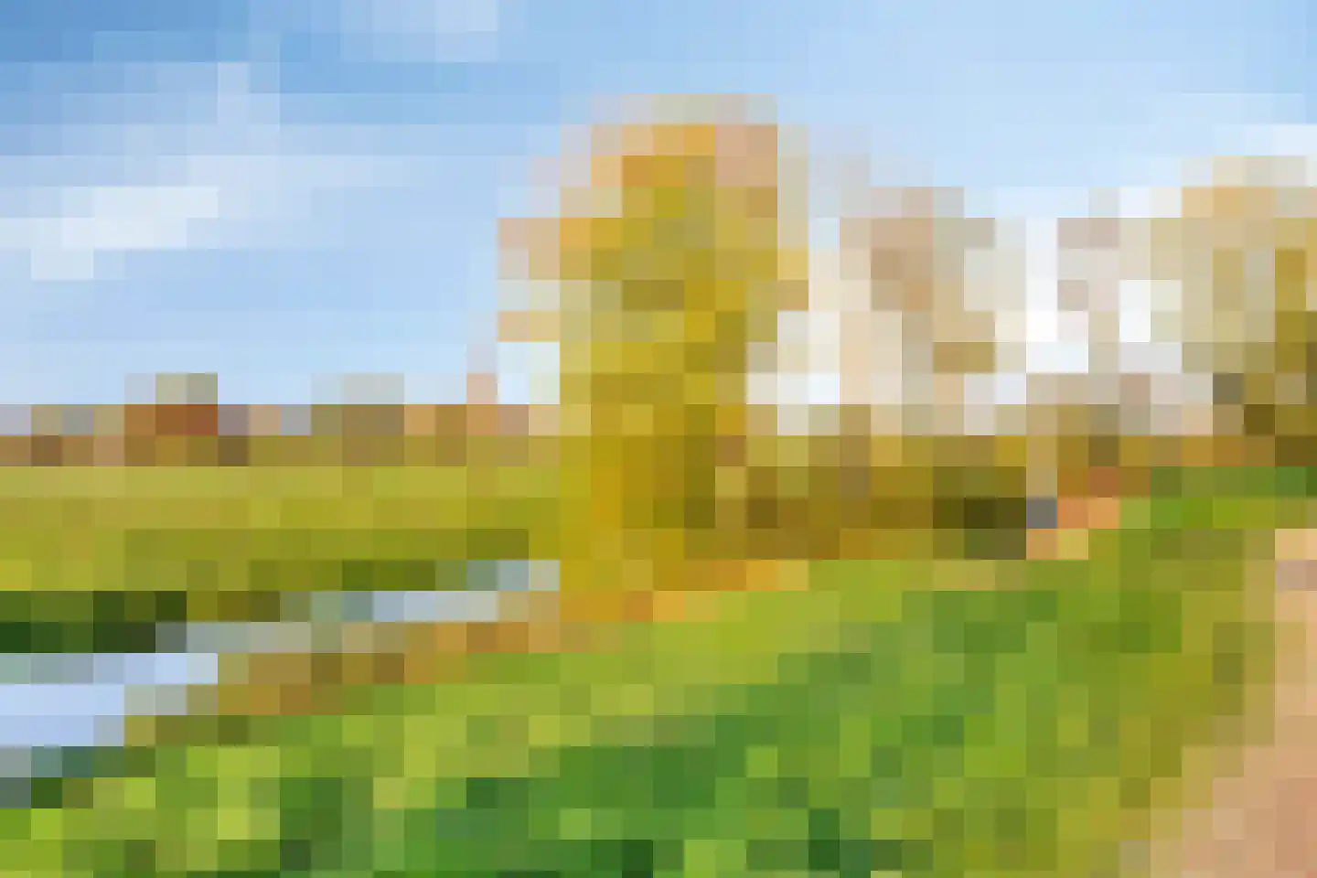 Picardie 80 Gennep thumbnail 51