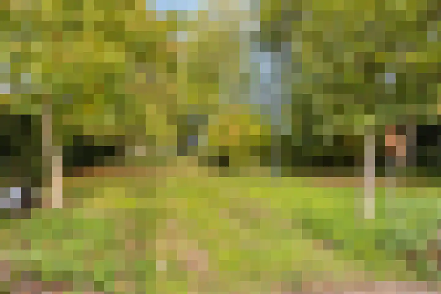 Picardie 80 Gennep thumbnail 7