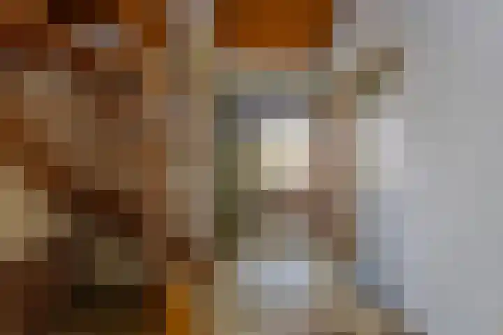 Picardiehof 31 Eindhoven thumbnail 10