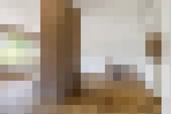 Picardiehof 31 Eindhoven thumbnail 12