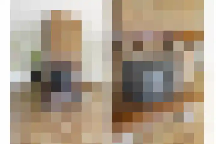Picardiehof 31 Eindhoven thumbnail 15