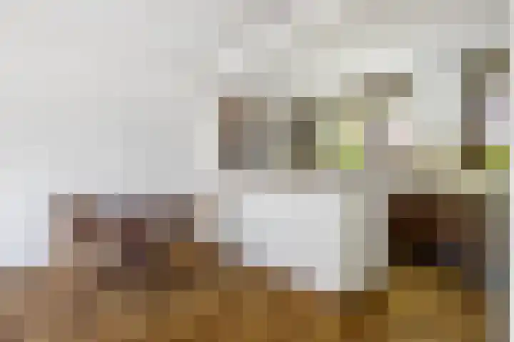 Picardiehof 31 Eindhoven thumbnail 16