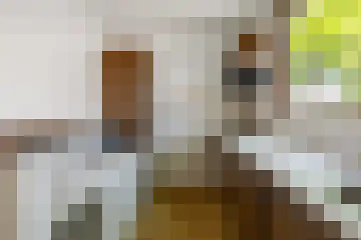 Picardiehof 31 Eindhoven thumbnail 17