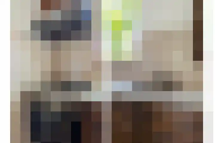 Picardiehof 31 Eindhoven thumbnail 18