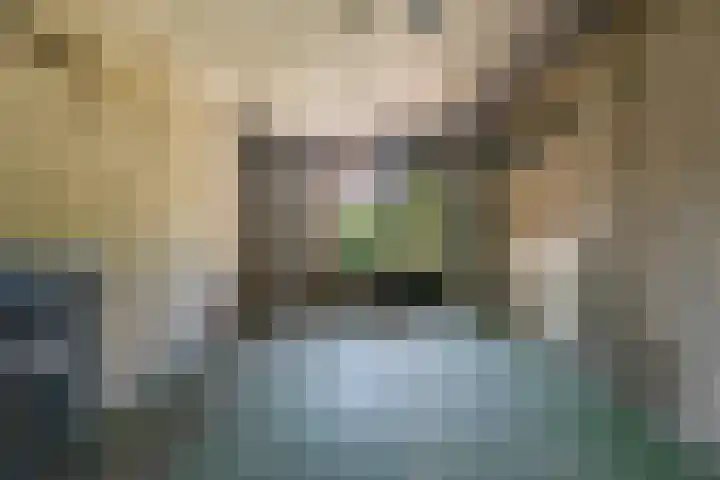 Picardiehof 31 Eindhoven thumbnail 19