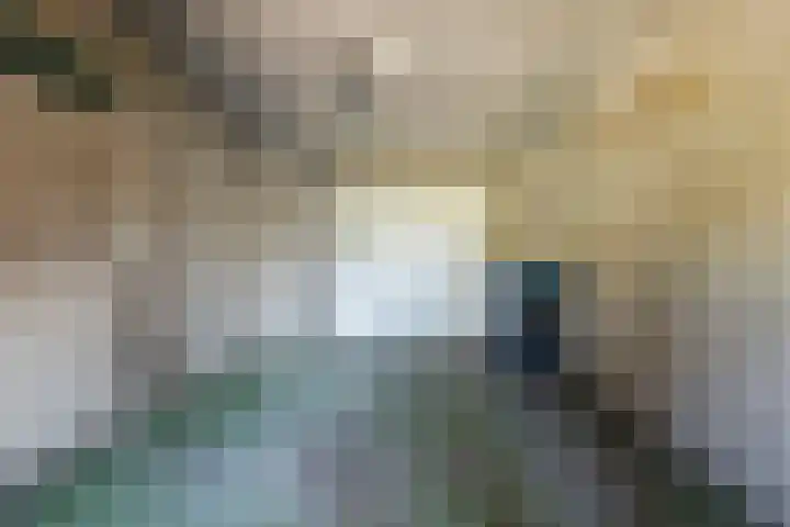 Picardiehof 31 Eindhoven thumbnail 20