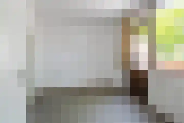 Picardiehof 31 Eindhoven thumbnail 24