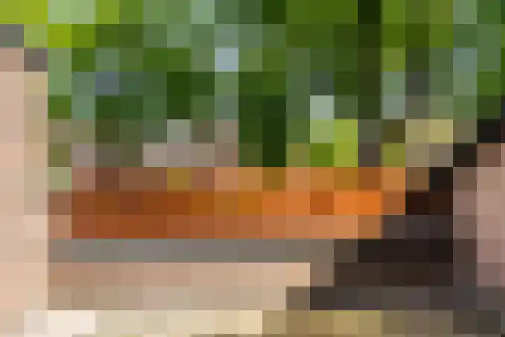 Picardiehof 31 Eindhoven thumbnail 25