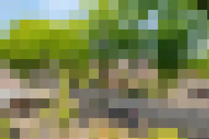 Picardiehof 31 Eindhoven thumbnail 27