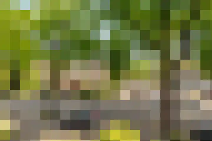 Picardiehof 31 Eindhoven thumbnail 28