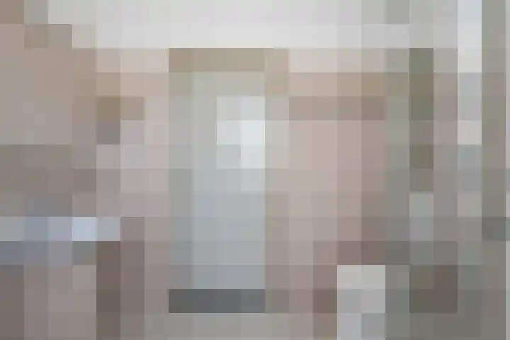 Picardiehof 31 Eindhoven thumbnail 34