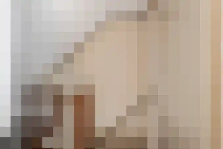 Picardiehof 31 Eindhoven thumbnail 36