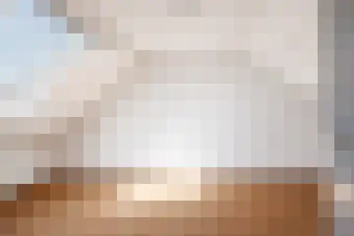 Picardiehof 31 Eindhoven thumbnail 37