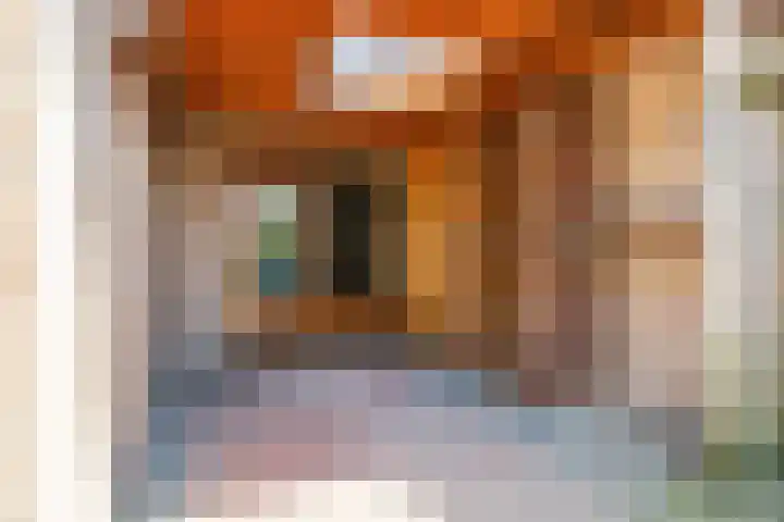 Picardiehof 31 Eindhoven thumbnail 40