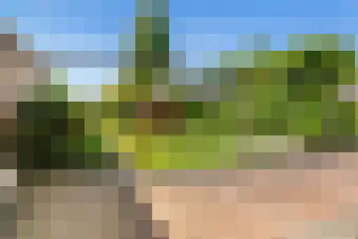 Picardiehof 31 Eindhoven thumbnail 41