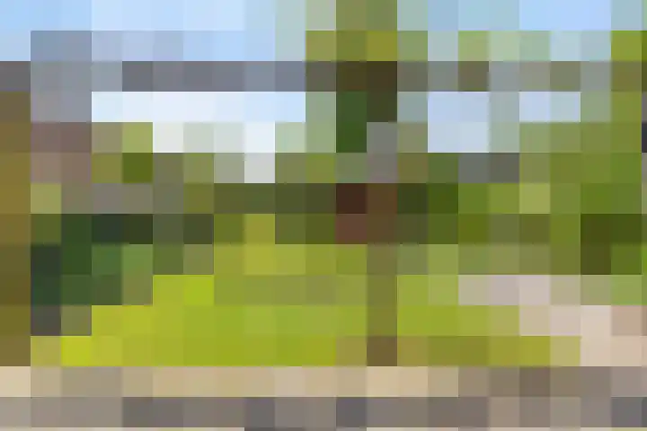 Picardiehof 31 Eindhoven thumbnail 42
