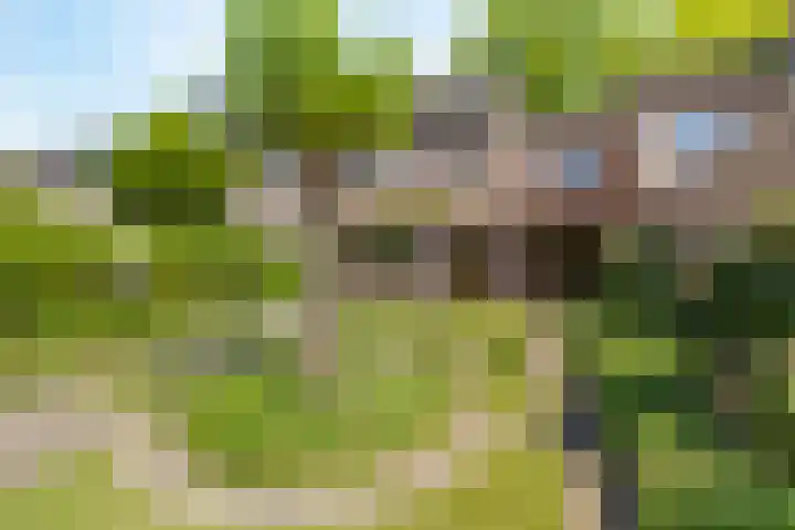 Picardiehof 31 Eindhoven thumbnail 45