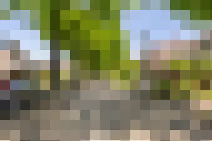 Picardiehof 31 Eindhoven thumbnail 46