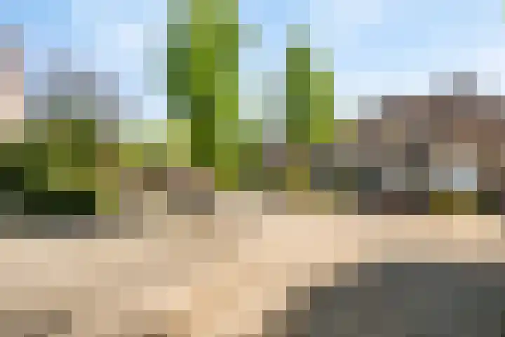 Picardiehof 31 Eindhoven thumbnail 47