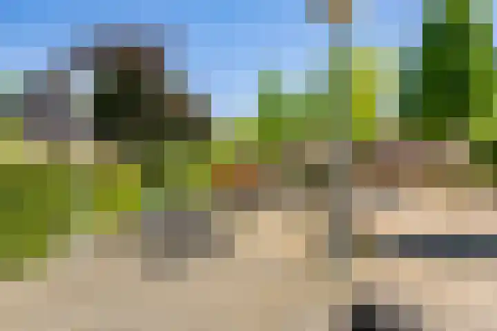 Picardiehof 31 Eindhoven thumbnail 48