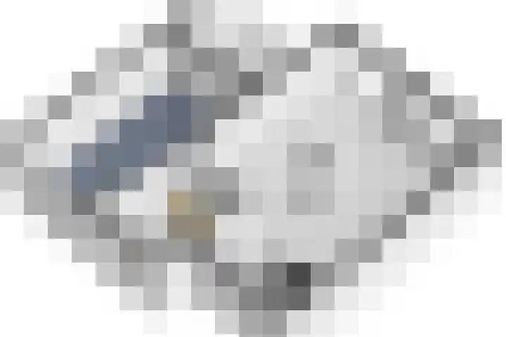 Picardiehof 31 Eindhoven thumbnail 50