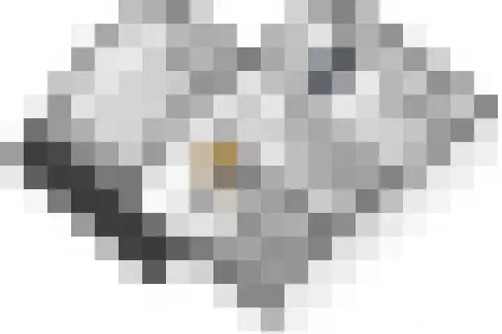 Picardiehof 31 Eindhoven thumbnail 52