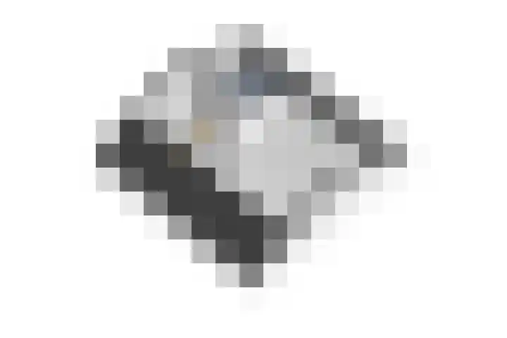 Picardiehof 31 Eindhoven thumbnail 54
