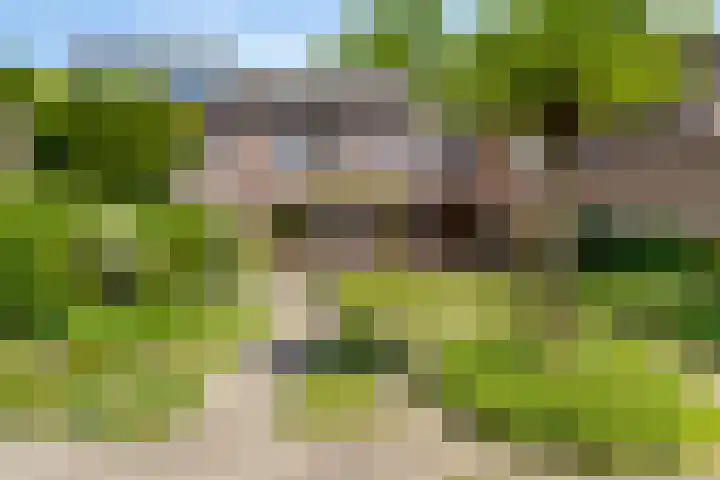 Picardiehof 31 Eindhoven thumbnail 6