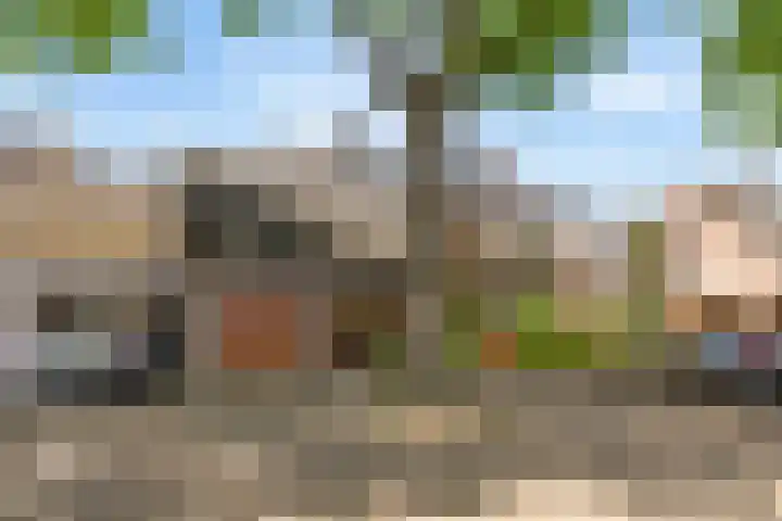 Picardiehof 31 Eindhoven thumbnail 7