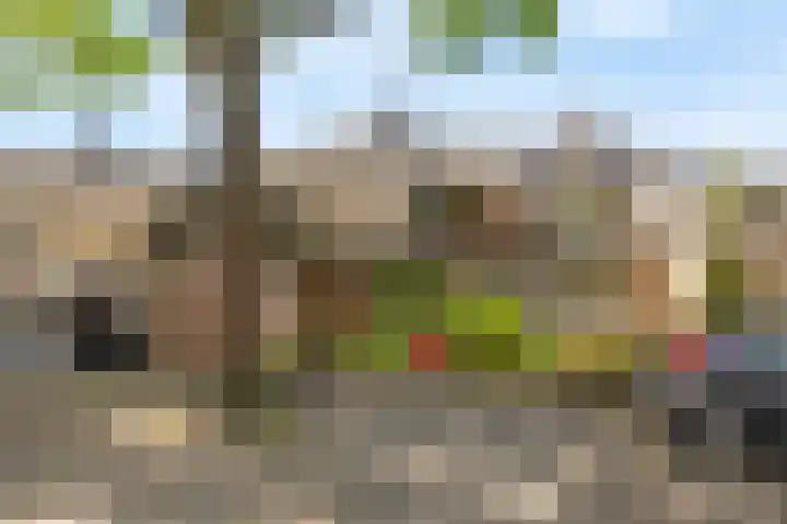 Picardiehof 31 Eindhoven thumbnail 8