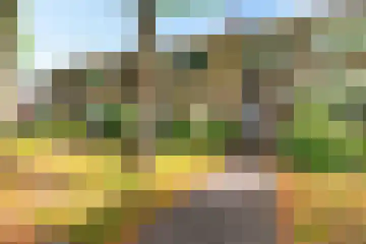 Picardtstraat 6 in Emmen