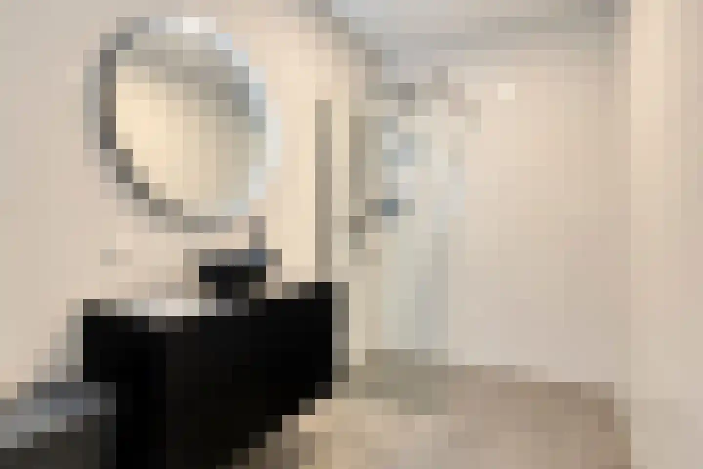 Picassolaan 765 Alkmaar thumbnail 22