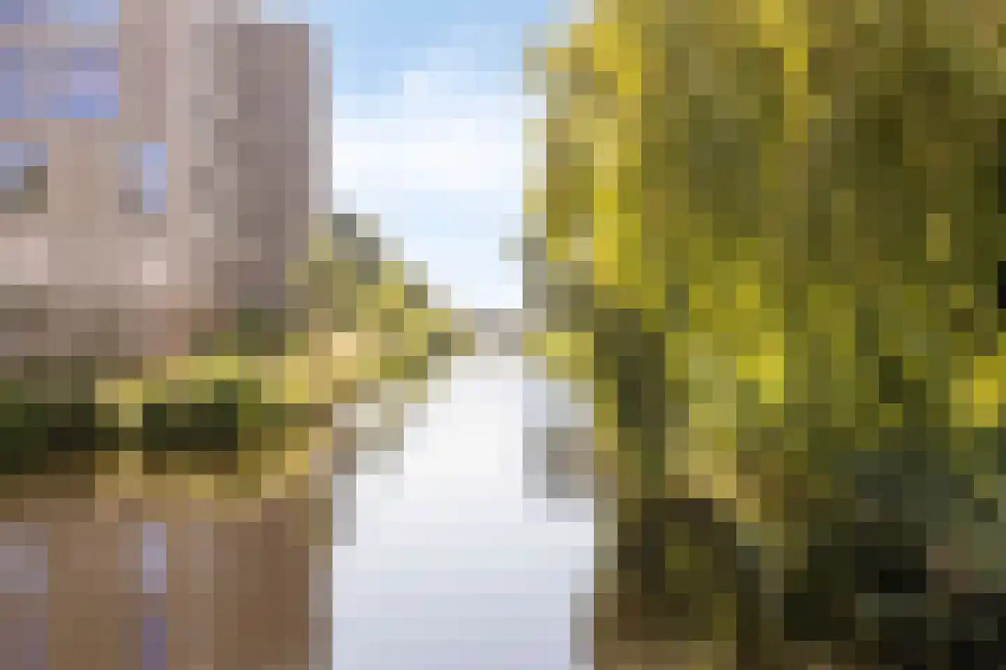Picassolaan 765 Alkmaar thumbnail 30