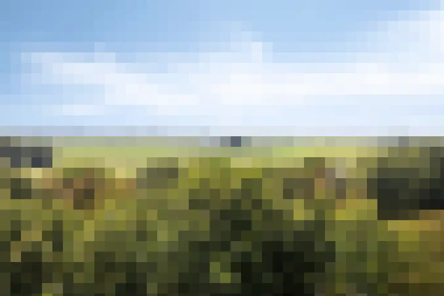 Picassolaan 765 Alkmaar thumbnail 31