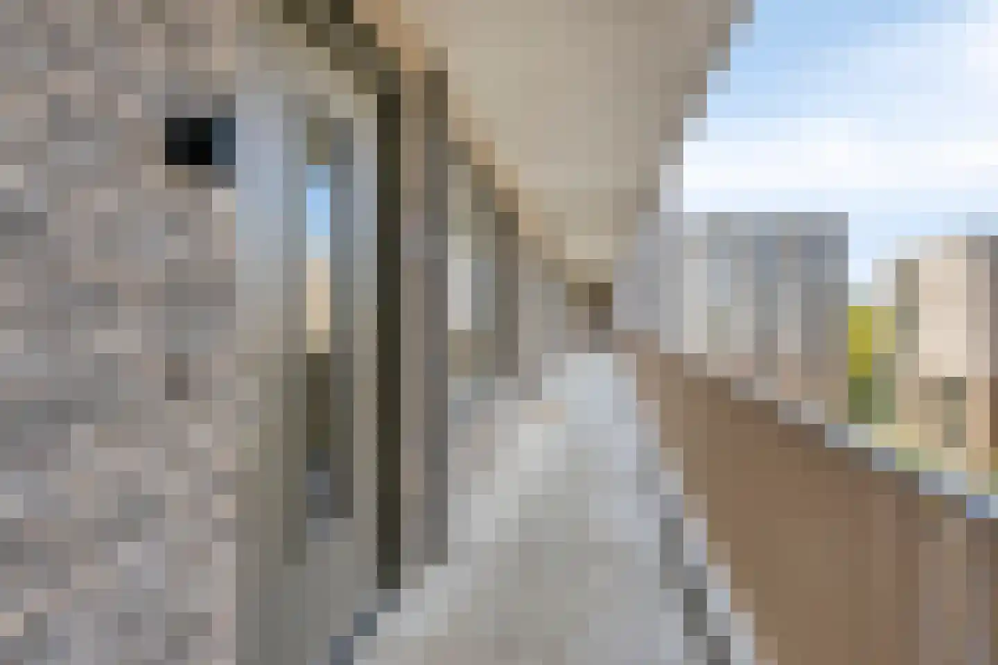Picassolaan 765 Alkmaar thumbnail 6