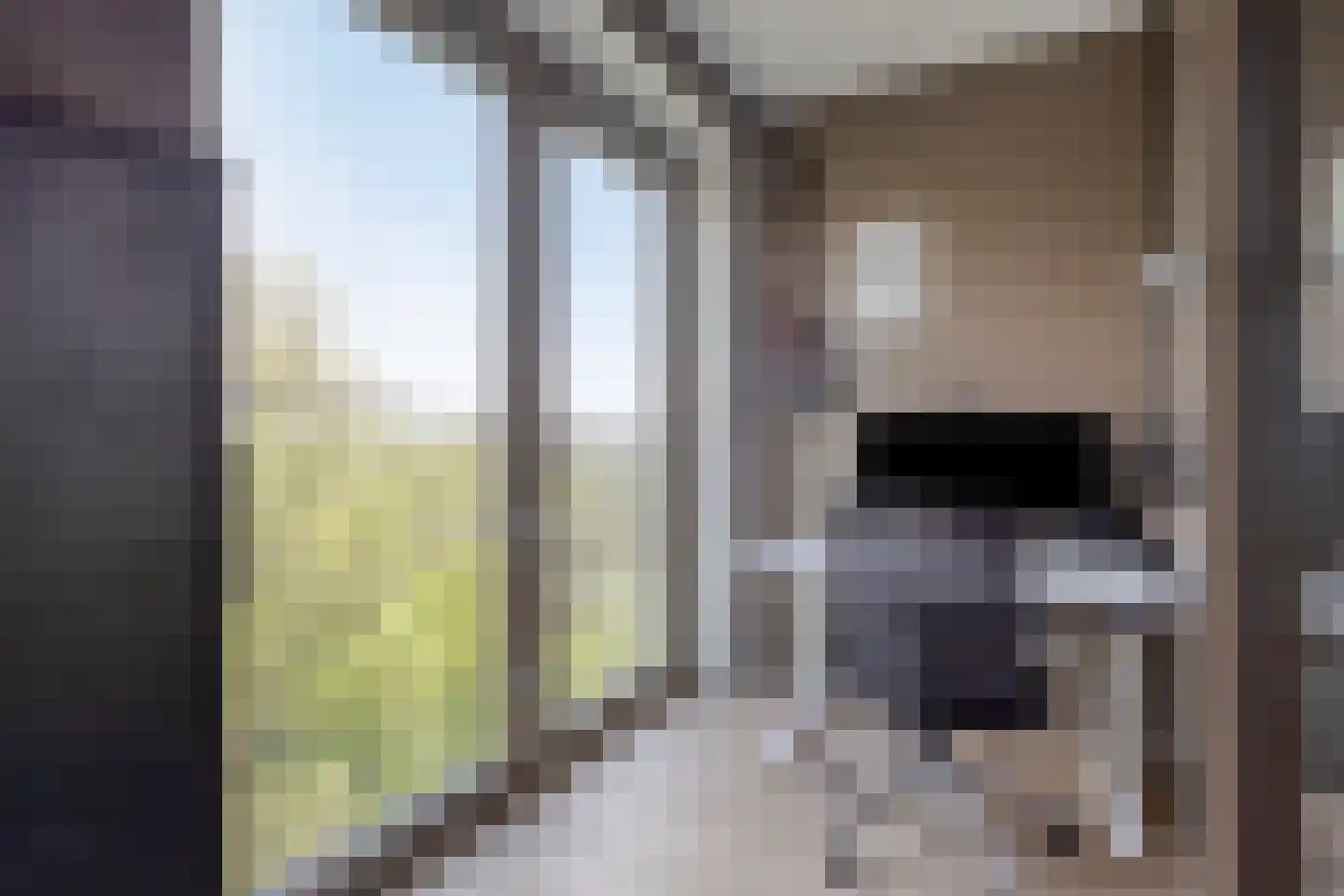 Picassolaan 777 Alkmaar thumbnail 13