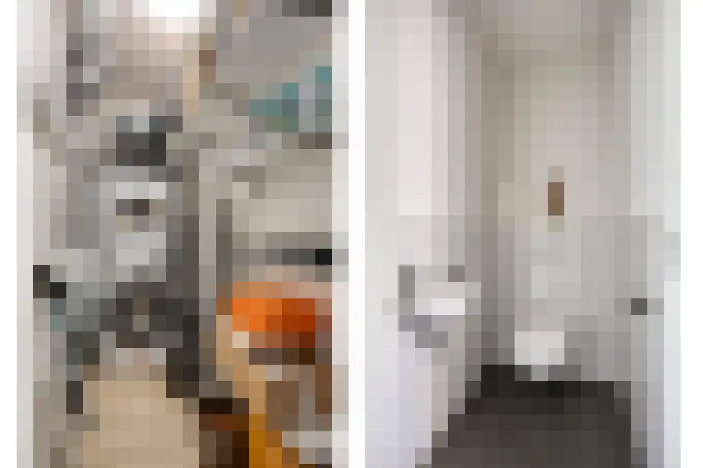 Picassolaan 777 Alkmaar thumbnail 16