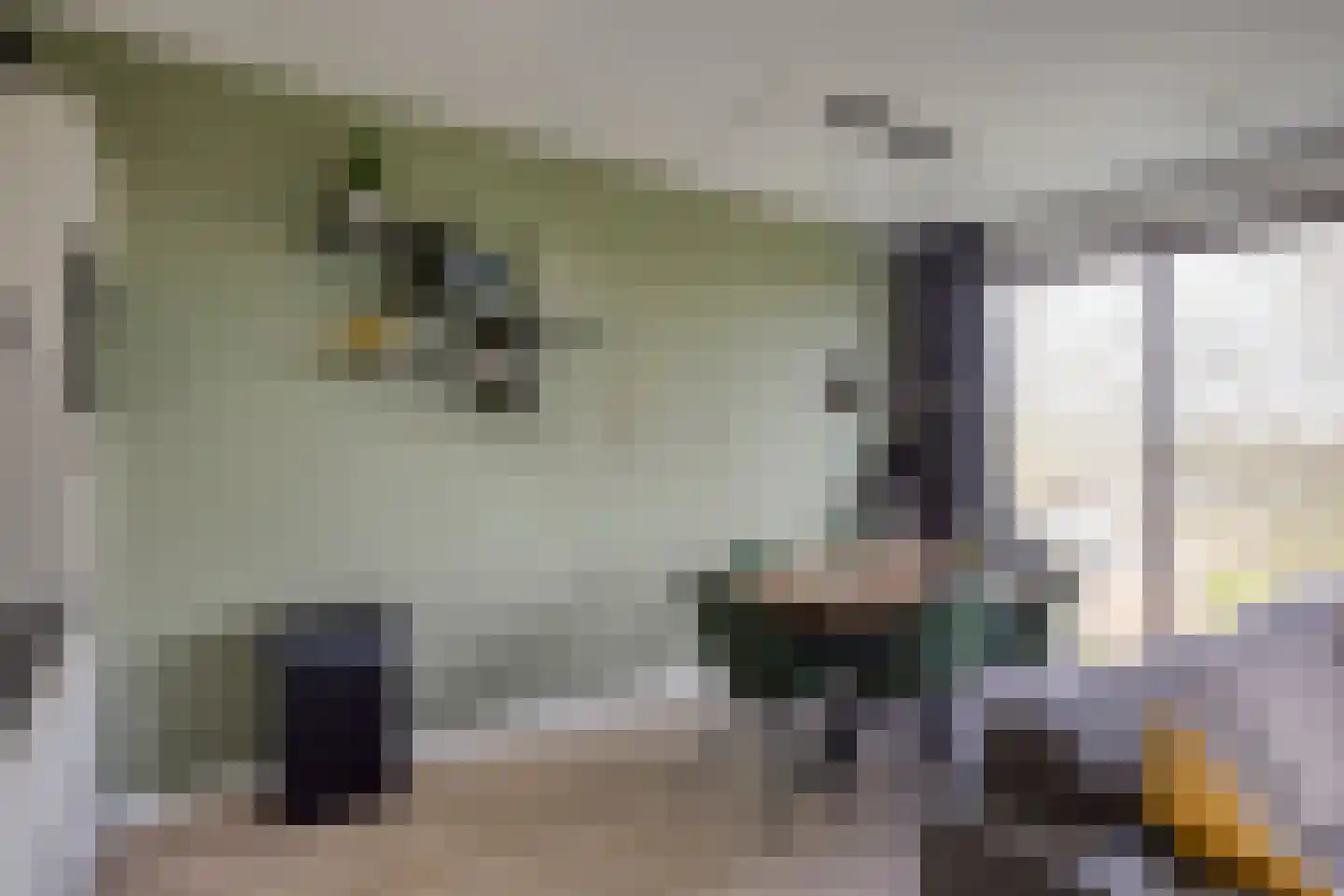Picassolaan 777 Alkmaar thumbnail 6