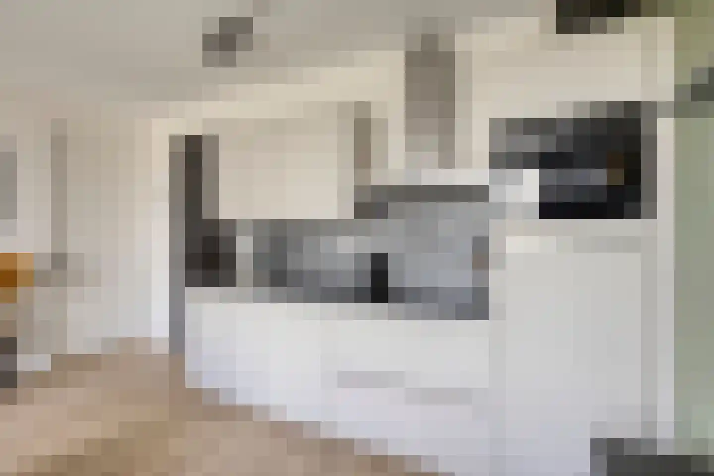 Picassolaan 777 Alkmaar thumbnail 8