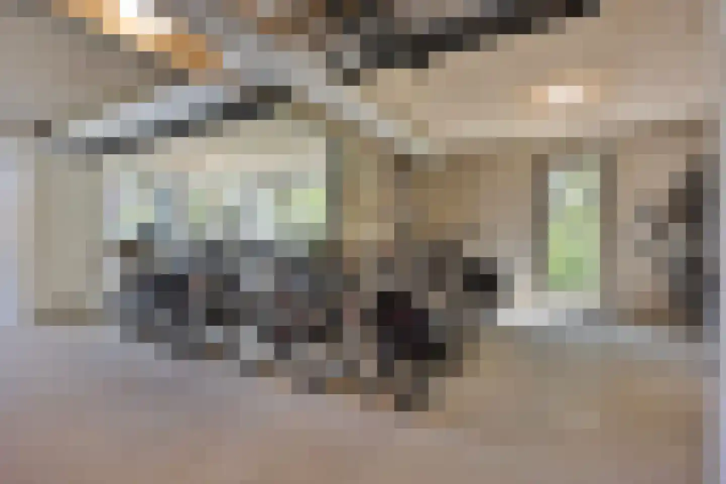 Picassolaan 795 Alkmaar thumbnail 19