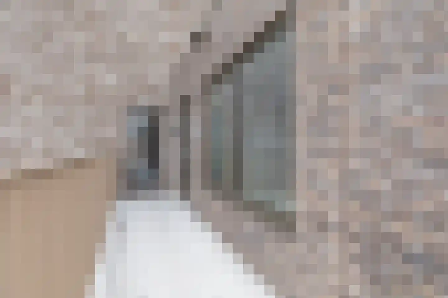 Picassolaan 801 Alkmaar thumbnail 27