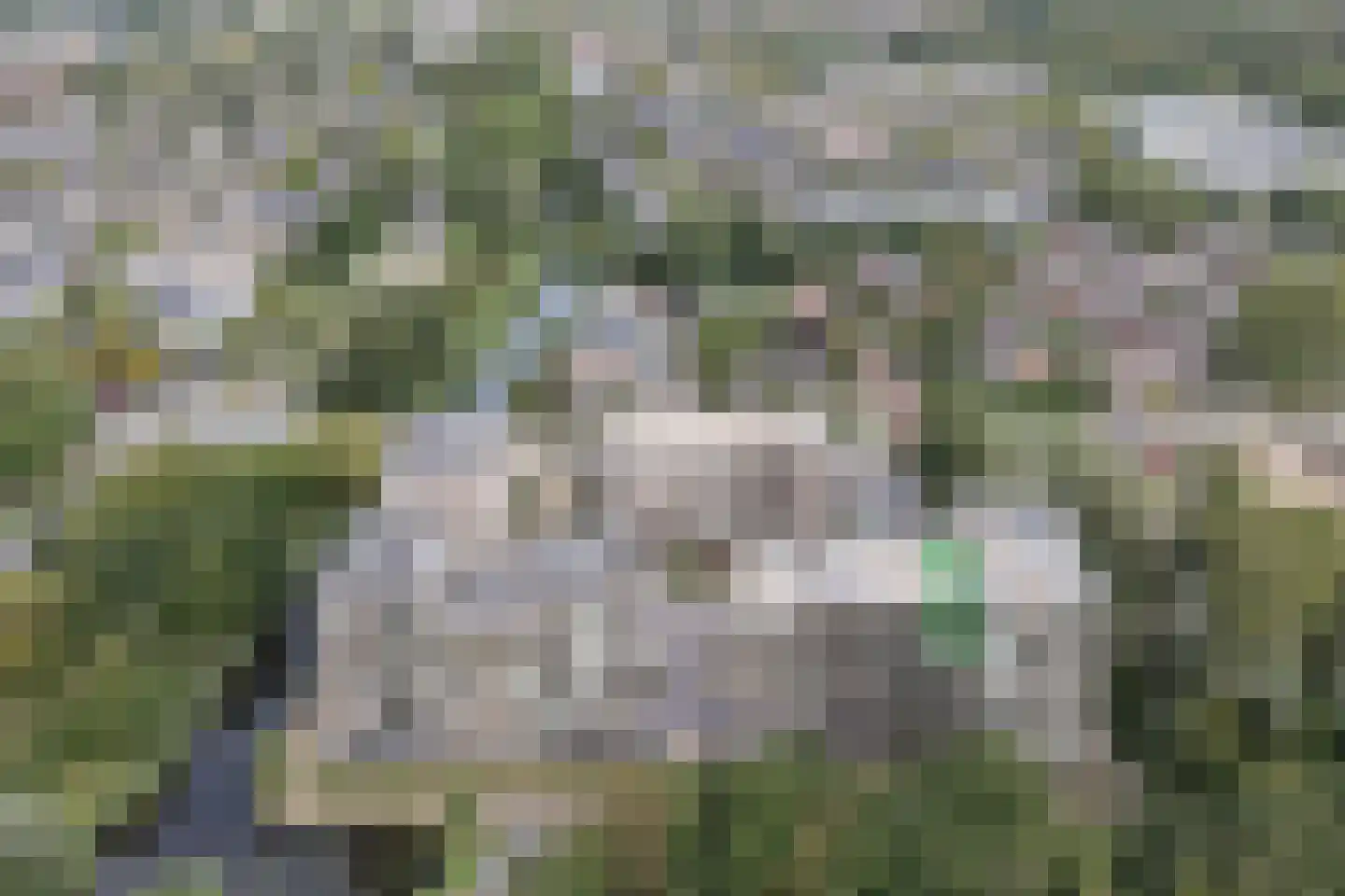 Picassolaan 801 Alkmaar thumbnail 5