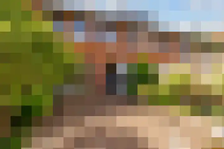 Picassoweg 11 Almere thumbnail 10