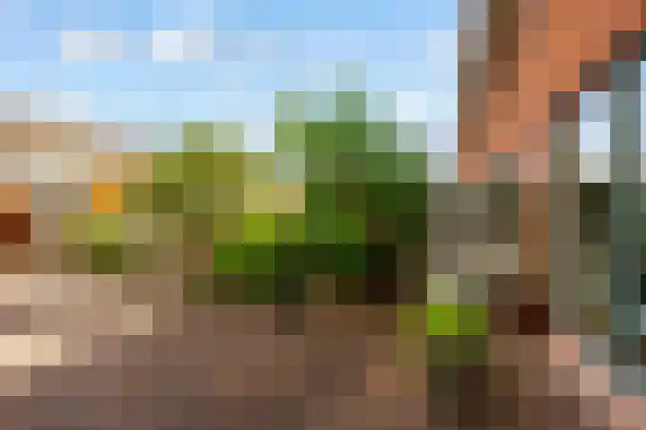 Picassoweg 11 Almere thumbnail 11
