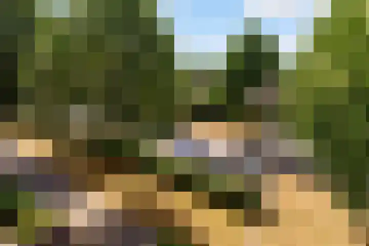Picassoweg 11 Almere thumbnail 35