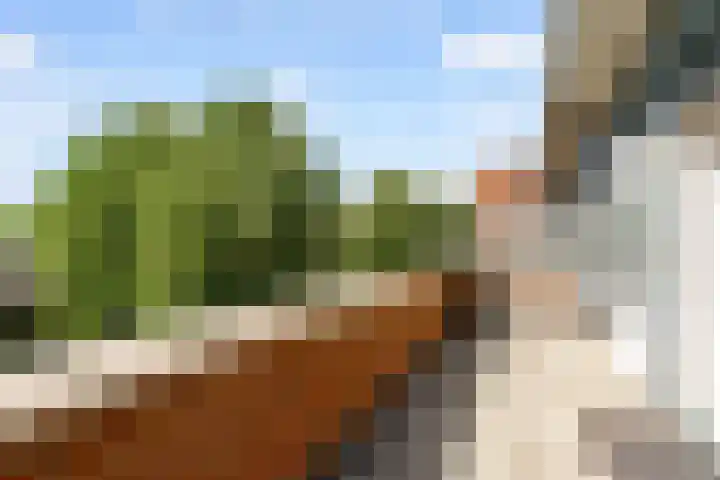 Picassoweg 11 Almere thumbnail 36