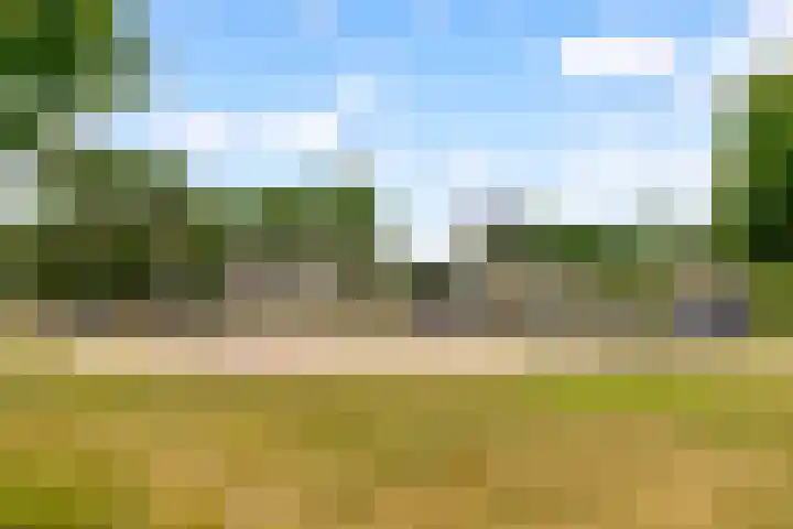 Picassoweg 11 Almere thumbnail 41