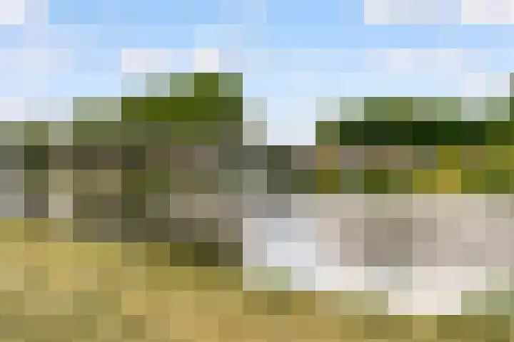 Picassoweg 11 Almere thumbnail 42