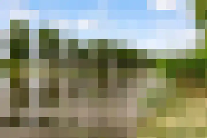 Picassoweg 11 Almere thumbnail 43