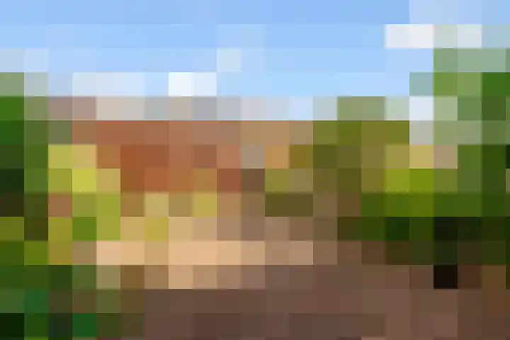 Picassoweg 11 Almere thumbnail 9